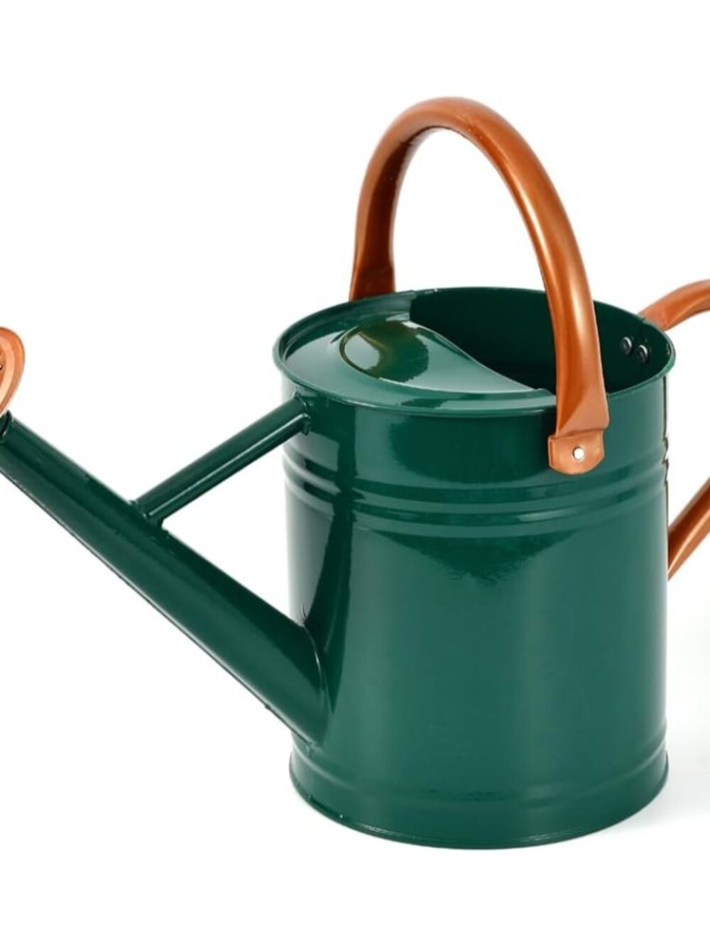Metal Watering Can 1 Gallon for Outdoor Garden Plants, Green